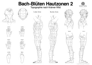 Hautzonen 2